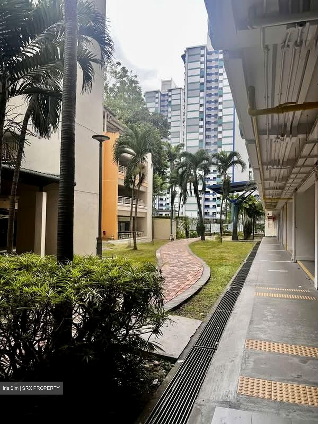 Blk 98 Whampoa View (Toa Payoh), HDB 3 Rooms #539102811